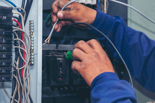 Best Electric Panel Repair  in Devine, TX